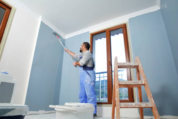 Best Drywall Removal and Disposal  in Pequot Lakes, MN