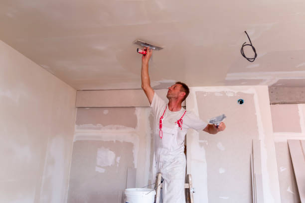  Pequot Lakes, MN Dry wall and painting Pros